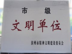 喜訊！公司榮獲“市級文明單位”稱(chēng)號